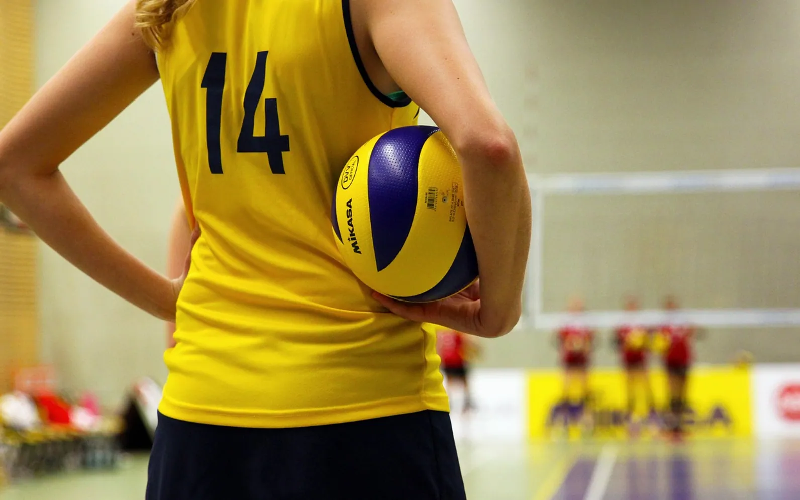 Volleyball, ball and player